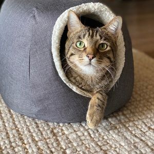 Meet your Posher, Zachary